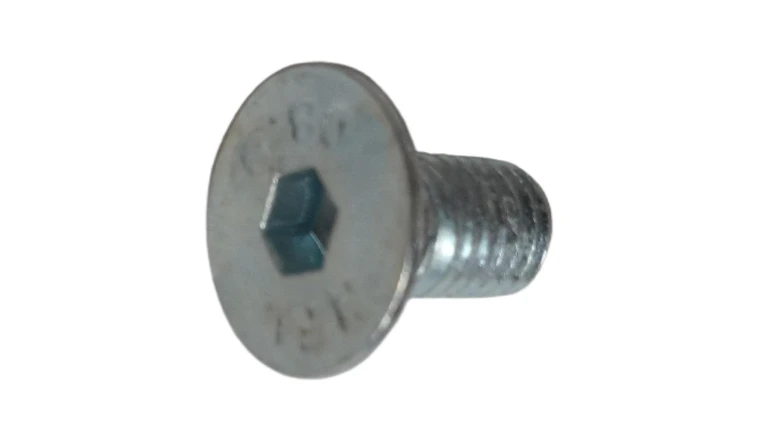 VIS TETE F 8X10 DIN 7991