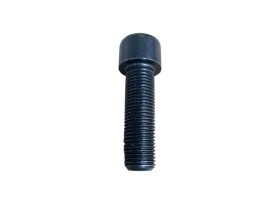 VIS TETE C CREUX 12X40 PAS 1.25 B U