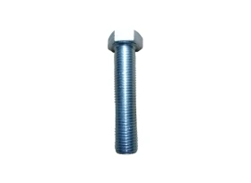 VIS TETE H 22X100 Z U FT