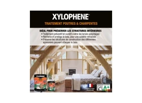 XYLOPHENE TRAITEMENT DU BOIS POUTRE ET CHARPENTE 20L