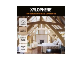 XYLOPHENE TRAITEMENT DU BOIS POUTRE ET CHARPENTE 20L