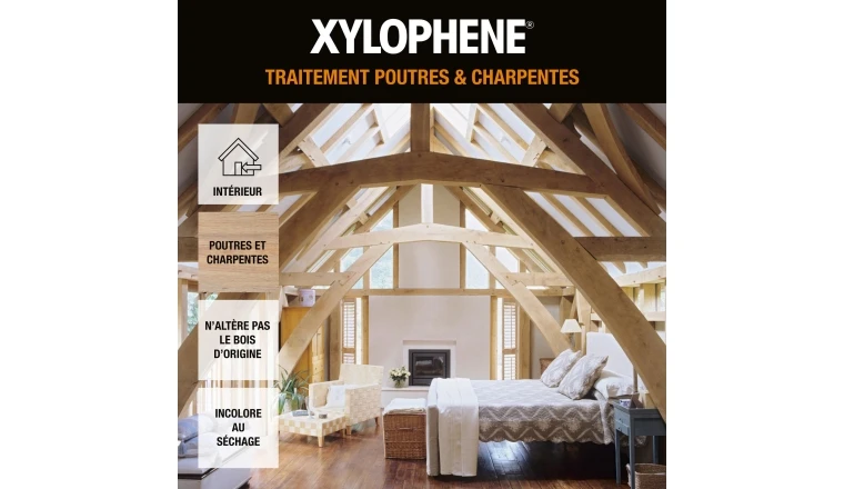 XYLOPHENE TRAITEMENT DU BOIS POUTRE ET CHARPENTE 20L
