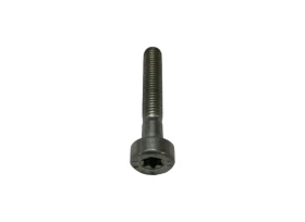 Vis cylindrique IS M5x30 Stihl 9022 341 1070