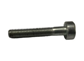 Vis cylindrique IS M5x30 Stihl 9022 341 1070