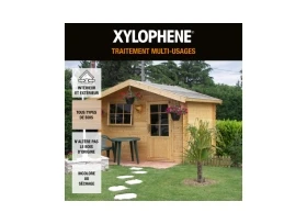 TRAITEMENT DU BOIS EXTERIEUR XYLOPHENE 1 L