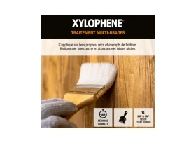 TRAITEMENT DU BOIS EXTERIEUR XYLOPHENE 1 L
