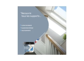 PEINTURE MUR. BOISERIE. PLAFOND BLANC MAT LUXENS COUVRANT 10L