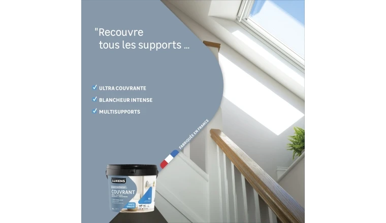PEINTURE MUR. BOISERIE. PLAFOND BLANC MAT LUXENS COUVRANT 10L