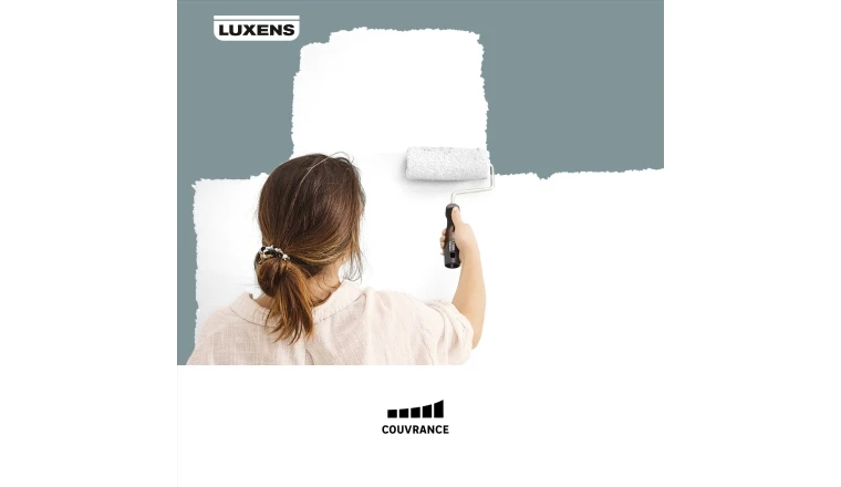 PEINTURE MUR. BOISERIE. PLAFOND BLANC MAT LUXENS COUVRANT 10L
