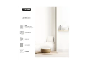 PEINTURE MUR. BOISERIE. PLAFOND BLANC MAT LUXENS COUVRANT 10L