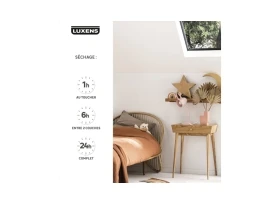 PEINTURE MUR. BOISERIE. RADIATEUR SATIN LUXENS COUVRANT 2.5L