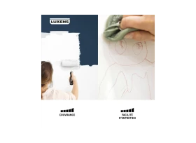 PEINTURE MUR. PLAFOND. BOISERIE BLANC MAT LUXENS RESISTANT 10L