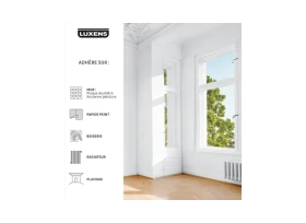 PEINTURE MUR. PLAFOND. BOISERIE BLANC MAT LUXENS RESISTANT 10L