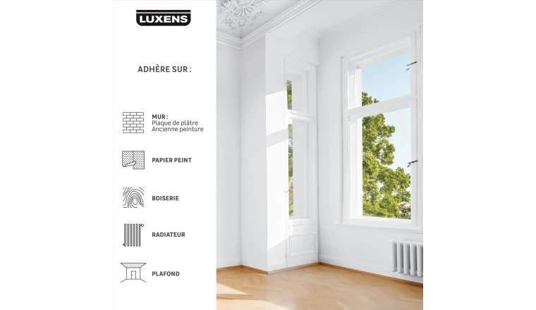 PEINTURE MUR. PLAFOND. BOISERIE BLANC MAT LUXENS RESISTANT 10L