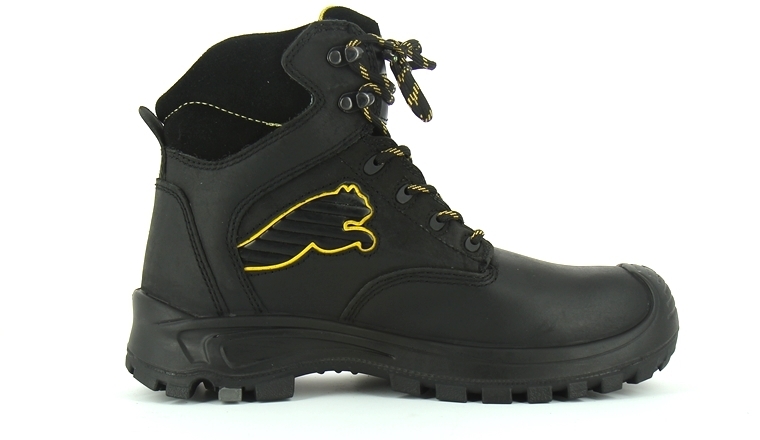 puma haute puma haute