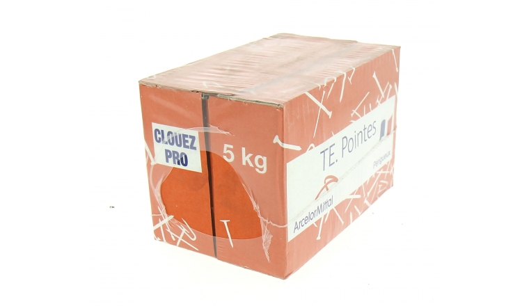 Boîte de 5 kg de Pointes à Tête Plate Ø 2.2 à 7 mm