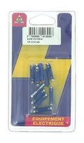 Lot de 10 Fusibles Steatites 8 A Bleu Ref HF610149 - Casrteels