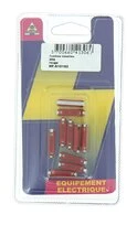 Lot de 10 Fusibles  Steatites 25 A Rouge Ref HF610182 - Casteels