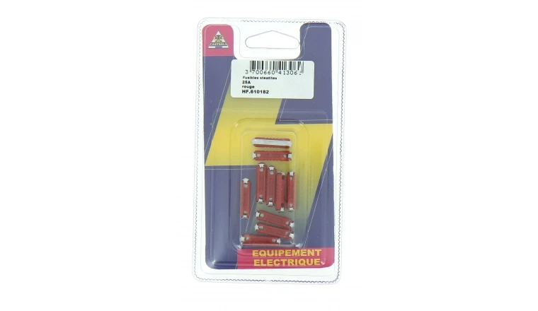 Lot de 10 Fusibles  Steatites 25 A Rouge Ref HF610182 - Casteels