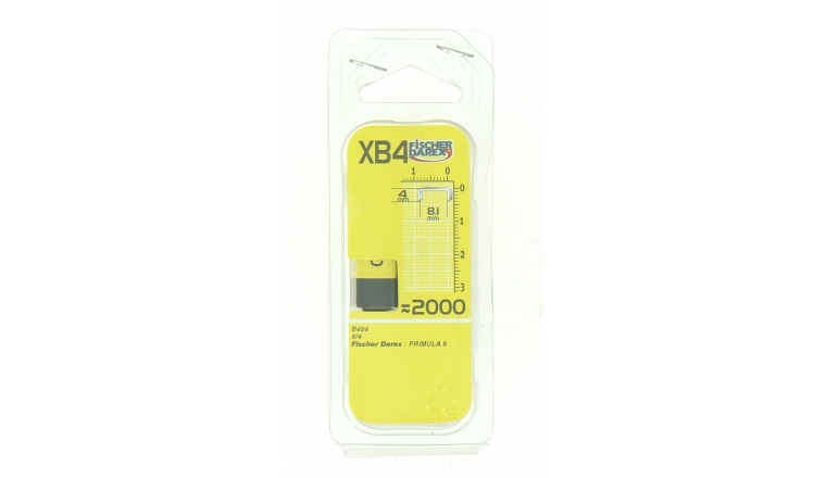 Boîte de 2000 Agrafes XB4 - 4 x 8.1 mm - Fischer Darex