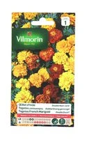 Oeillet d'Inde - Double Nain Varié - Vilmorin