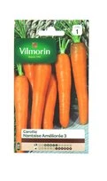 Carotte - Nantais Améliorée 3 - Vilmorin