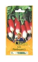 Radis - Flamboyant 5 - Clause