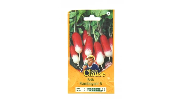 Radis - Flamboyant 5 - Clause