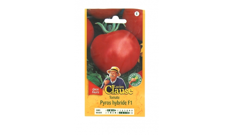 Tomate - Pyros Hybride F1 - Clause