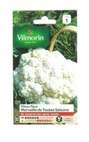 Chou Fleur - Merveille de Toutes Saisons - Vilmorin