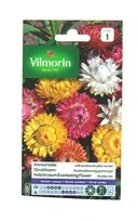 Immortelle - Bractées double varié - Vilmorin
