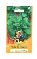 Mâche - Verte de Cambrai - Clause