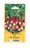 Radis - de 18 jours - Clause