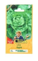 Laitue - Appia - Clause