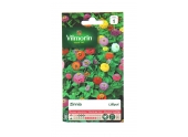 Zinnia - Lilliput - Vilmorin