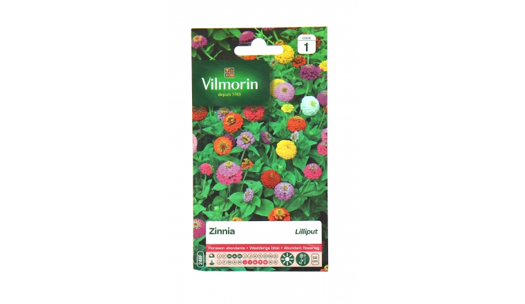 Zinnia - Lilliput - Vilmorin