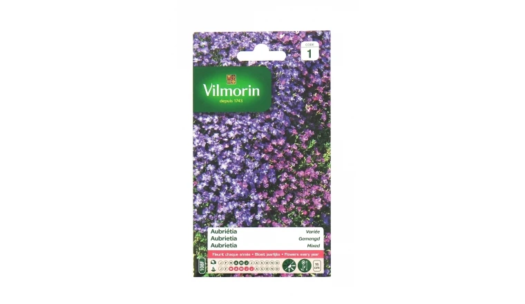 Aubriétia - Variée - Vilmorin
