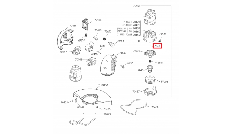 Bille D6 pour tête de coupe Bordure OT - Ref 2847 - Outils Wolf